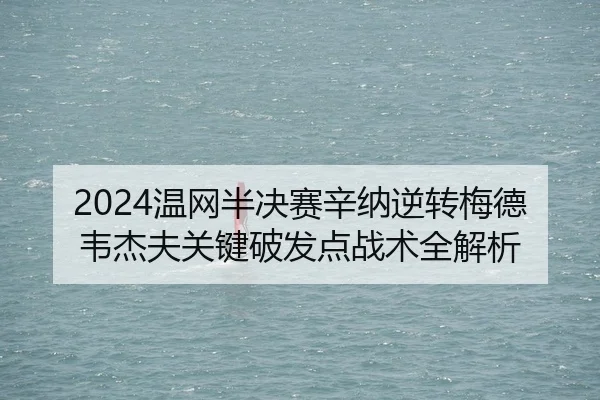 wen-wang-ban-jue-sai-xin-na-ni-zhuan-mei-de-wei-jie-fu-guan-jian-po-fa-dian-zhan-shu-quan-jie-xi-2-143.jpg